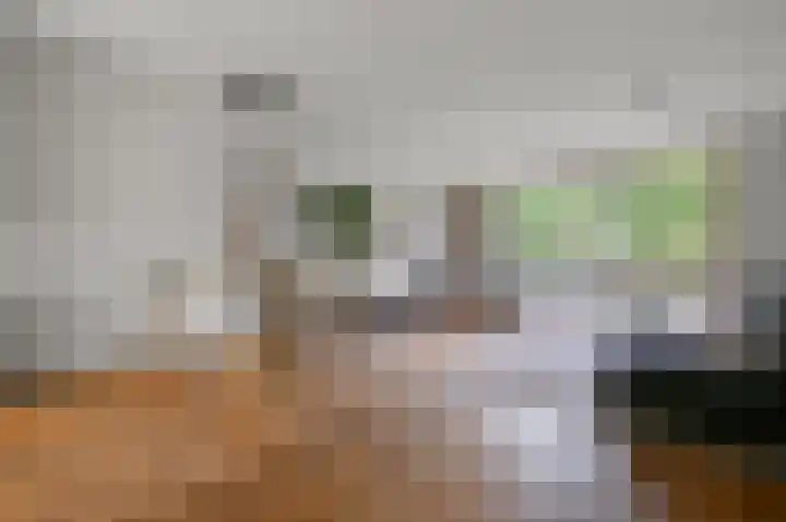 Speenkruid 58 Diemen thumbnail 6