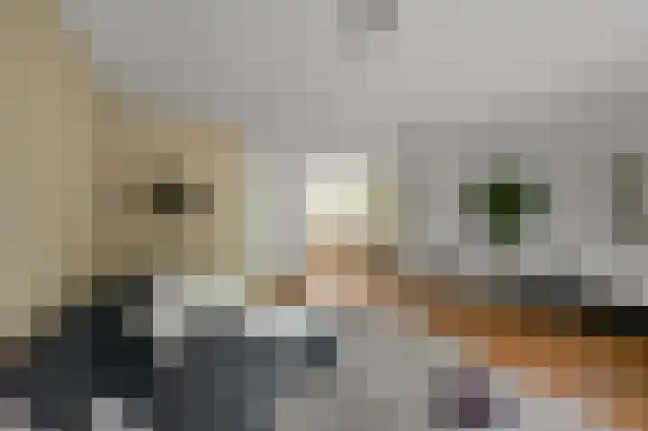 Speenkruid 58 Diemen thumbnail 7