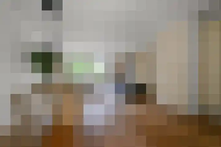 Speenkruid 58 Diemen thumbnail 9