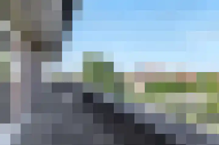 Speenkruid 60 Puttershoek thumbnail 36
