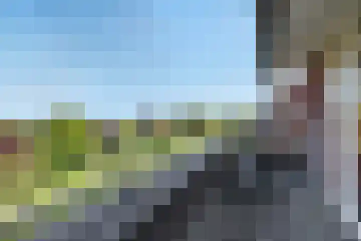 Speenkruid 60 Puttershoek thumbnail 37
