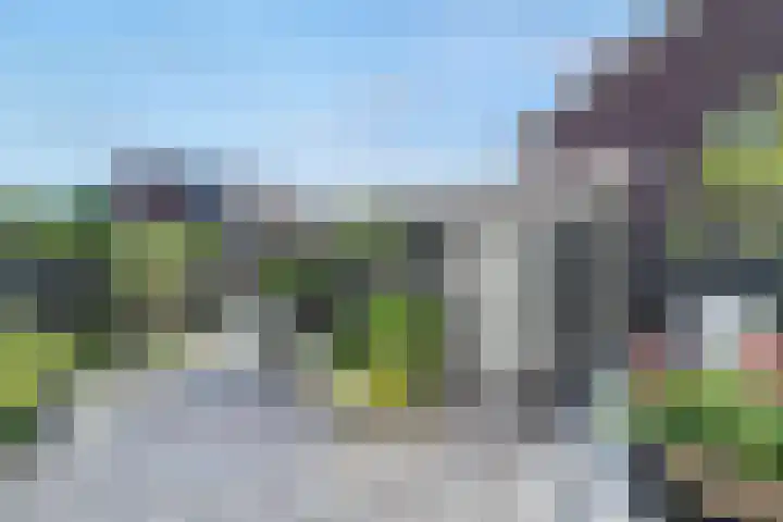 Speenkruid 60 Puttershoek thumbnail 38