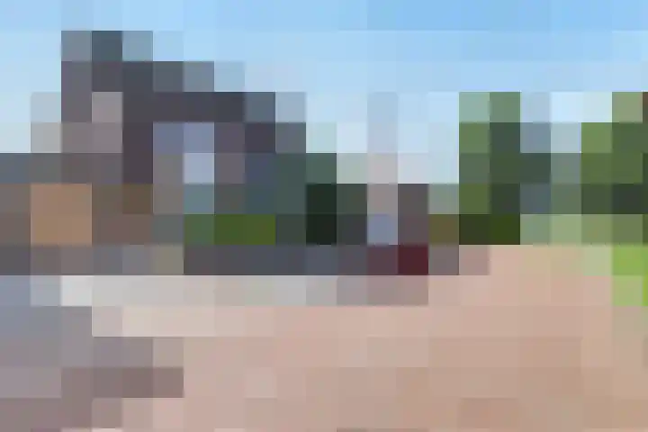 Speenkruid 60 Puttershoek thumbnail 4