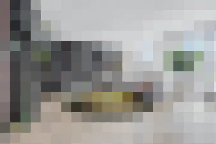 Speenkruid 60 Puttershoek thumbnail 8
