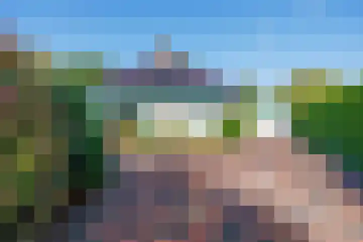 Speenkruid 7 Bedum