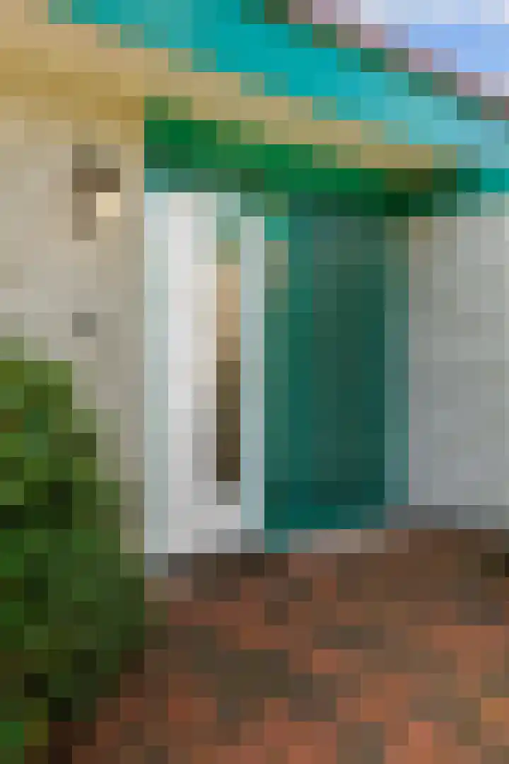 Speenkruid 7 Bedum thumbnail 11
