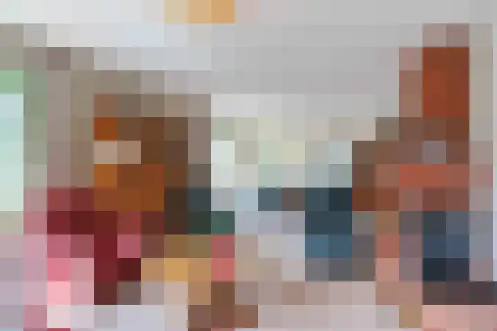 Speenkruid 7 Bedum thumbnail 16