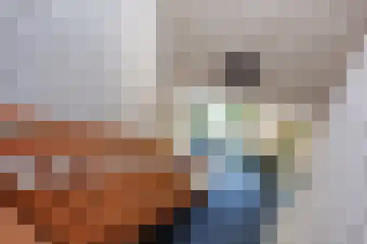 Speenkruid 7 Bedum foto 2