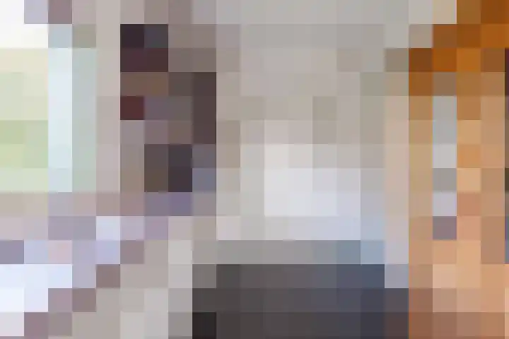 Speenkruid 7 Bedum thumbnail 26