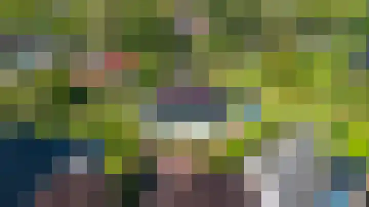Speenkruid 7 Bedum thumbnail 4