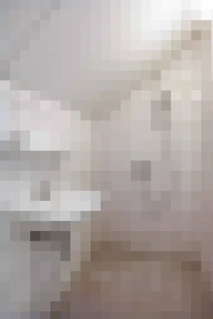 Speenkruid 7 Bedum thumbnail 45