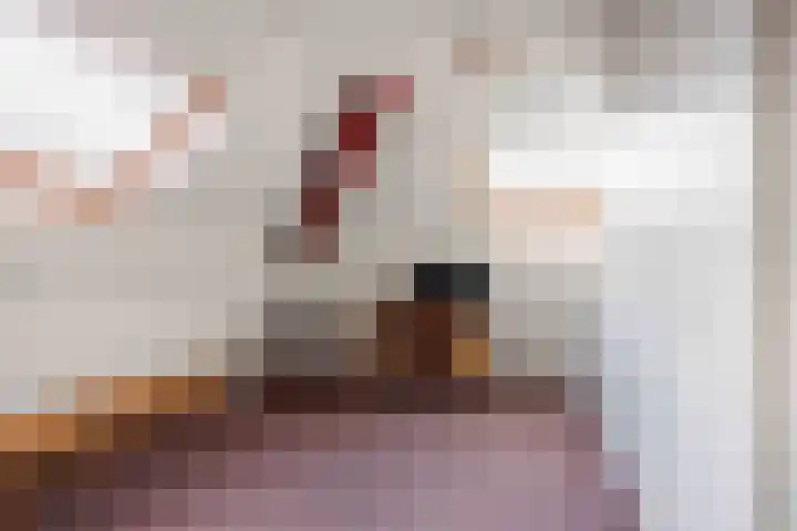 Speenkruid 7 Bedum thumbnail 48