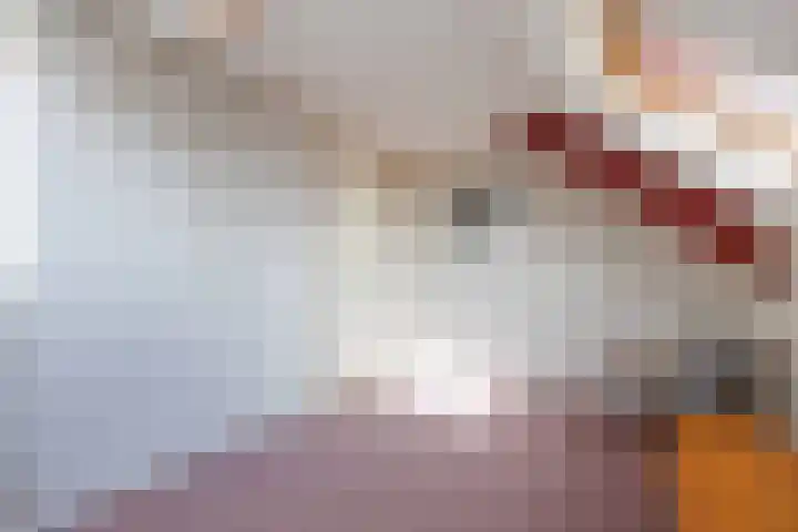Speenkruid 7 Bedum thumbnail 49