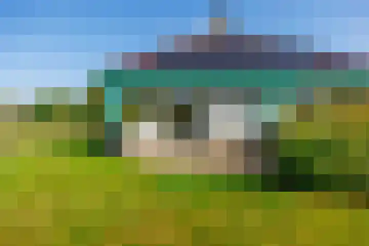 Speenkruid 7 Bedum thumbnail 54