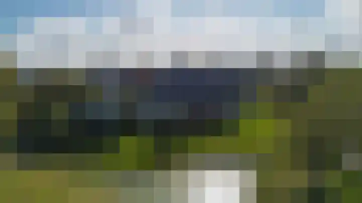 Speenkruid 7 Bedum thumbnail 66