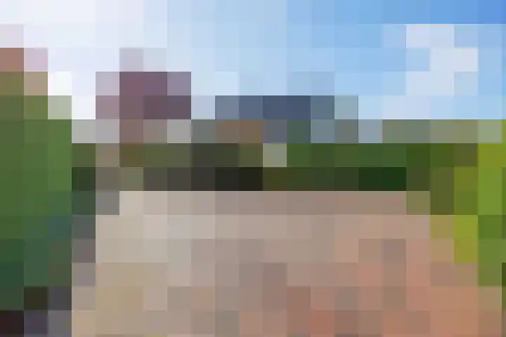 Speenkruid 7 Bedum thumbnail 8