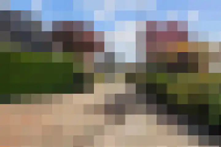 Speenkruid 7 Bedum thumbnail 9