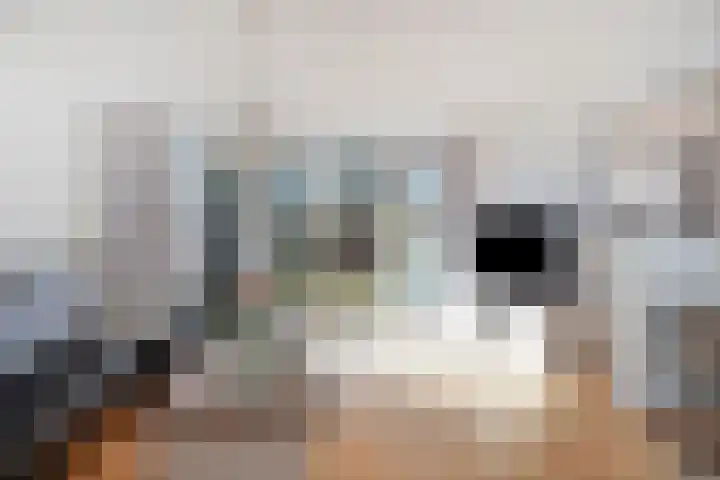 Speenkruid 7 Purmerend thumbnail 12