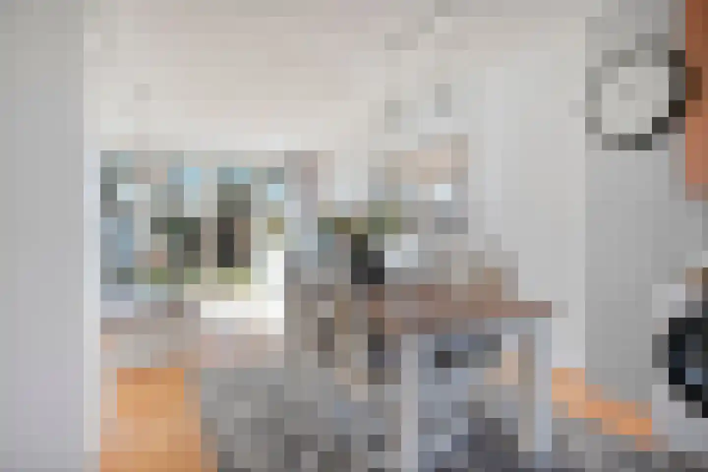 Speenkruid 7 Purmerend thumbnail 16