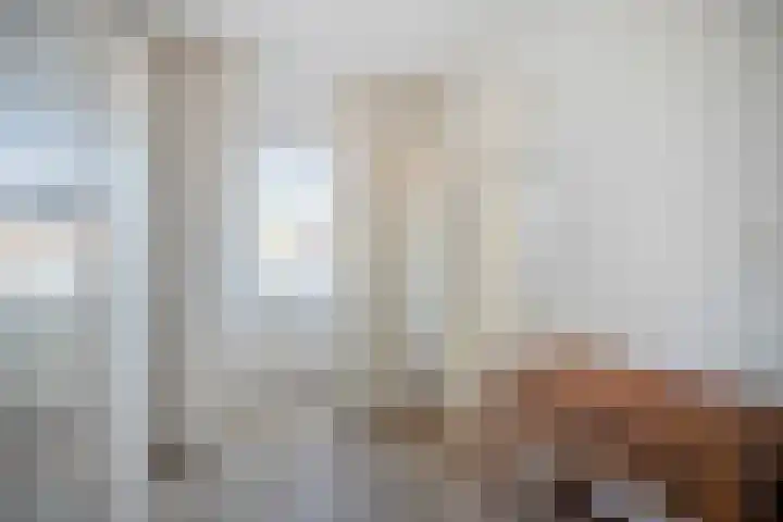 Speenkruid 7 Purmerend thumbnail 22