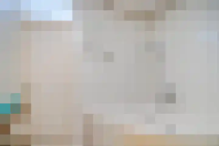 Speenkruid 7 Purmerend thumbnail 26