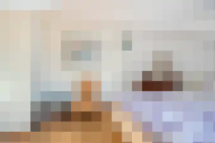 Speenkruid 7 Purmerend thumbnail 30