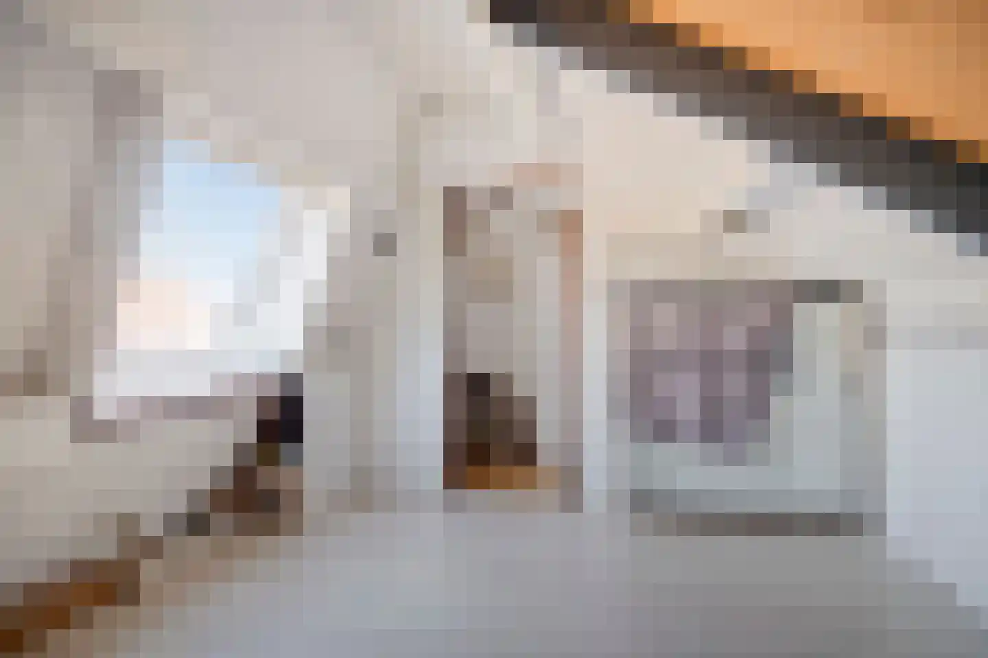 Speenkruid 7 Purmerend thumbnail 32