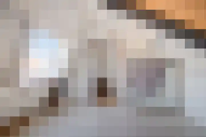 Speenkruid 7 Purmerend thumbnail 32