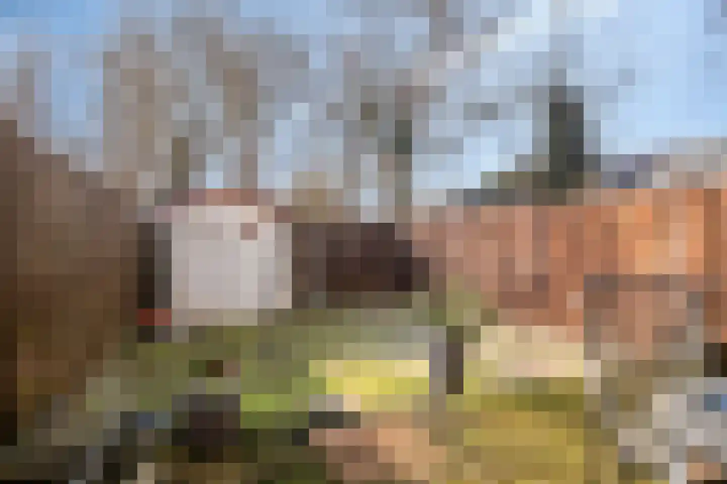 Speenkruid 7 Purmerend thumbnail 35