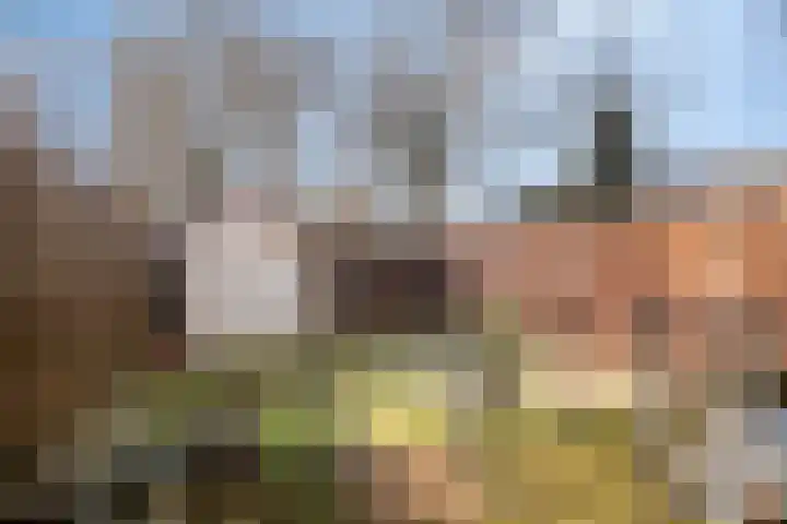 Speenkruid 7 Purmerend thumbnail 35