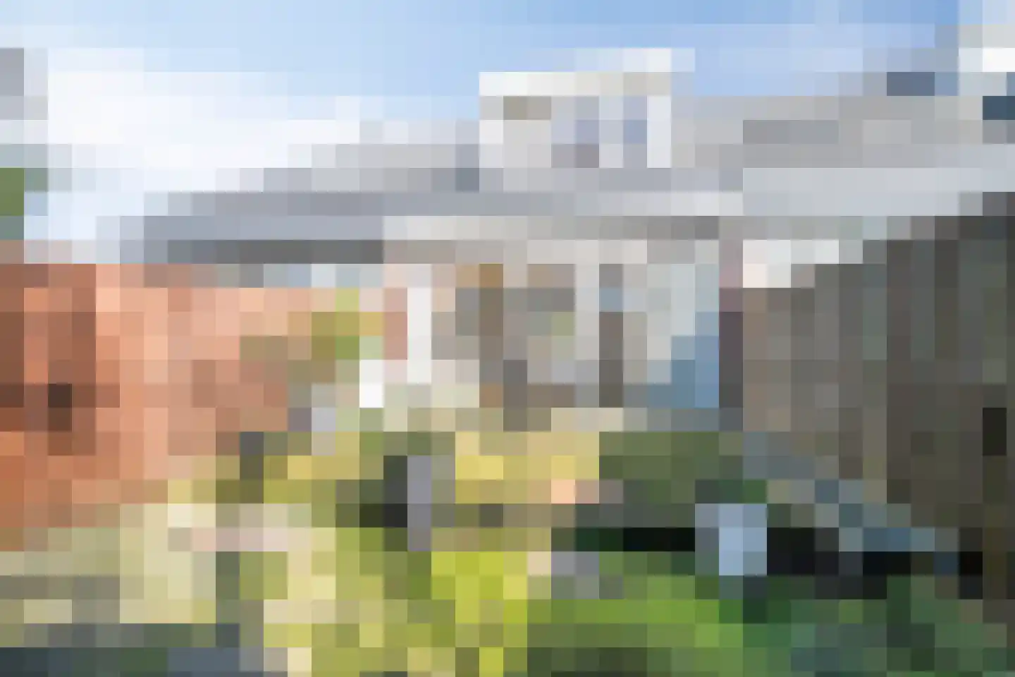 Speenkruid 7 Purmerend thumbnail 37