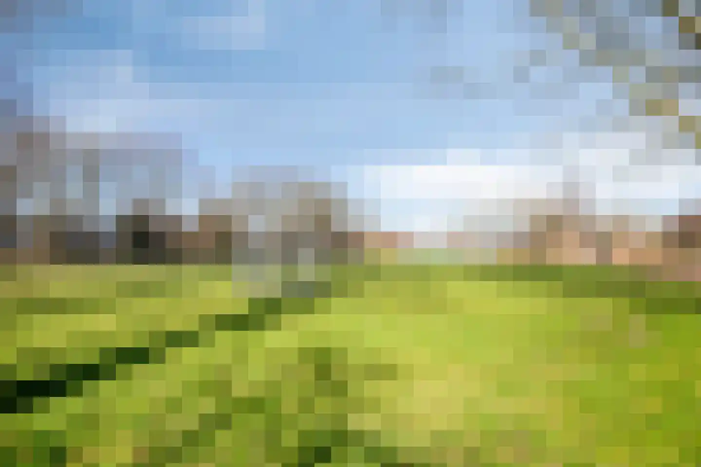 Speenkruid 7 Purmerend thumbnail 38