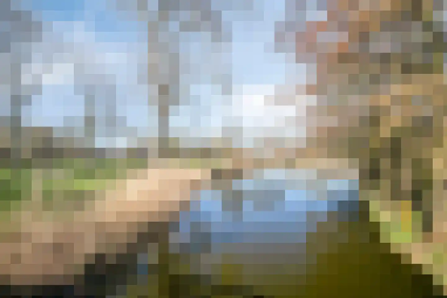 Speenkruid 7 Purmerend thumbnail 39