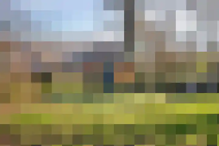 Speenkruid 7 Purmerend thumbnail 40