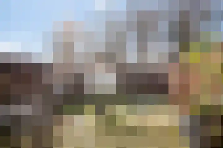Speenkruid 7 Purmerend thumbnail 5