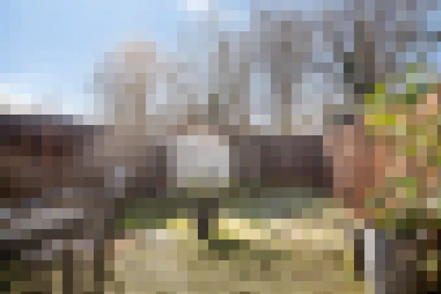 Speenkruid 7 Purmerend thumbnail 5