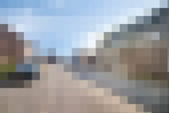 Speenkruid 7 Purmerend thumbnail 7
