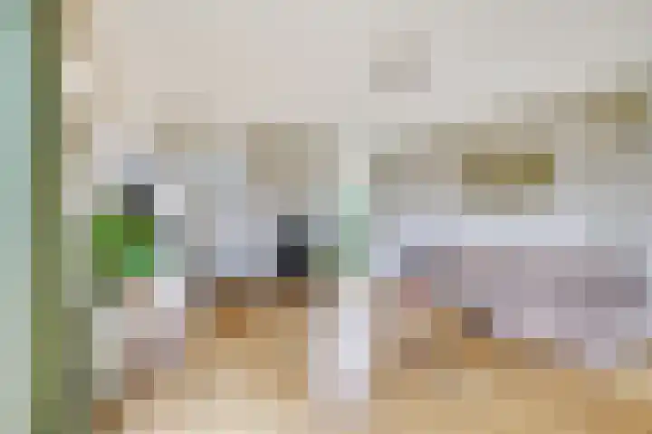 Speenkruidhof 13 Houten thumbnail 13