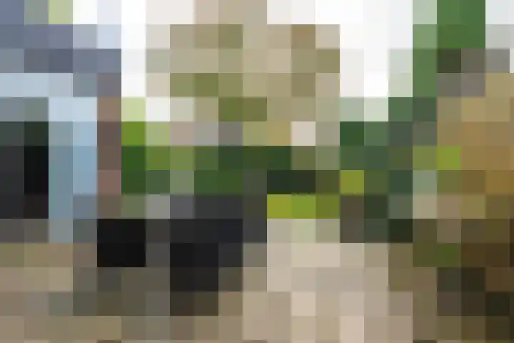 Speenkruidhof 13 Houten thumbnail 20