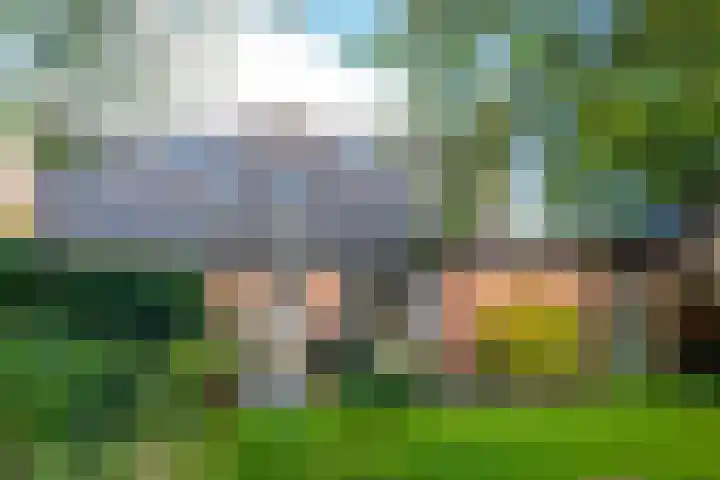 Speenkruidhof 13 Houten thumbnail 21