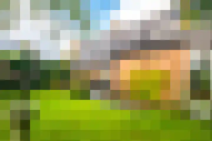 Speenkruidhof 13 Houten thumbnail 22