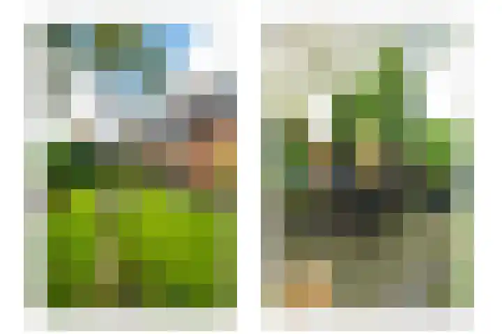 Speenkruidhof 13 Houten thumbnail 23