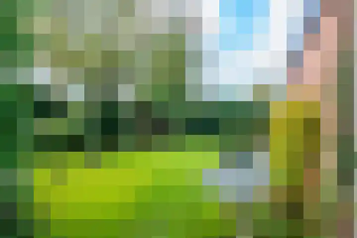 Speenkruidhof 13 Houten thumbnail 25