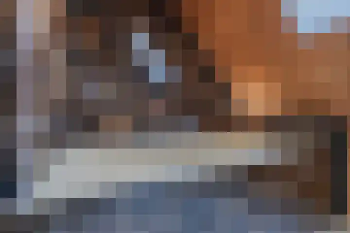 Speenkruidhof 13 Houten thumbnail 37