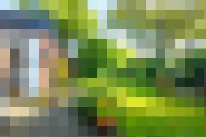 Speenkruidhof 13 Houten thumbnail 4