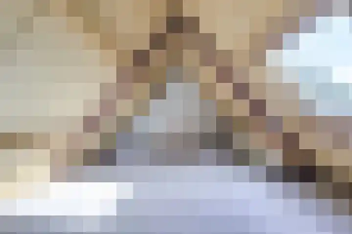 Speenkruidhof 13 Houten thumbnail 43