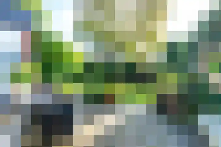 Speenkruidhof 13 Houten thumbnail 44