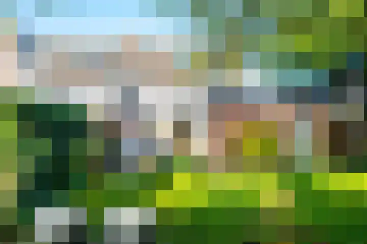 Speenkruidhof 13 Houten thumbnail 45