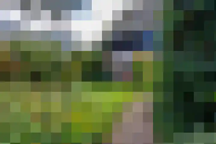 Speenkruidhof 13 Houten thumbnail 49