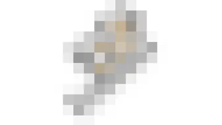 Speenkruidhof 13 Houten thumbnail 53